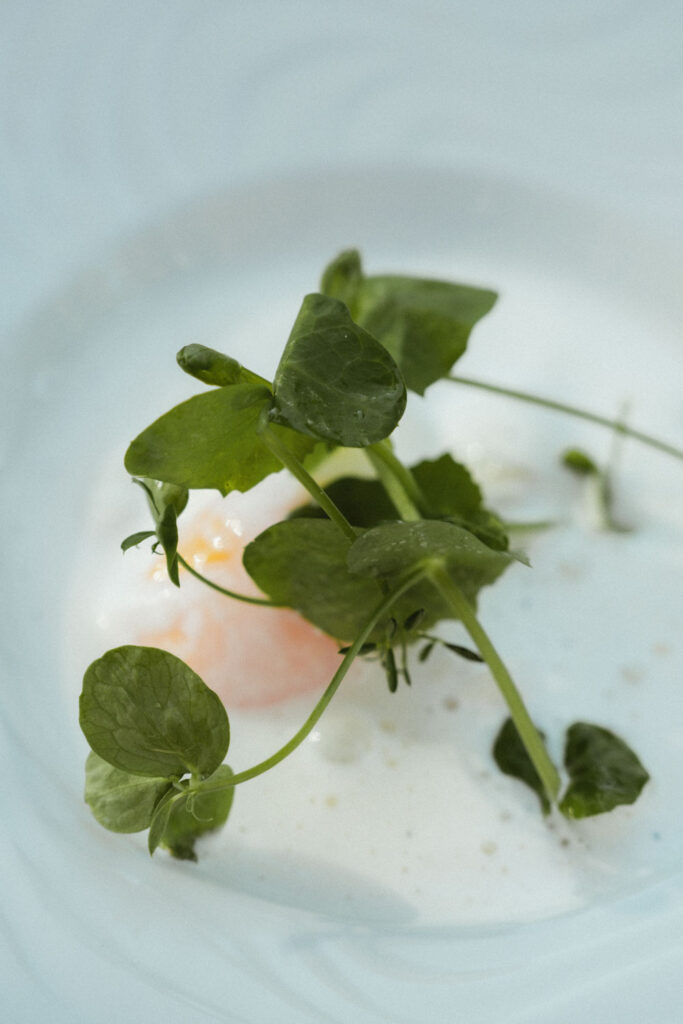 photographe mariage montpellier occitanie