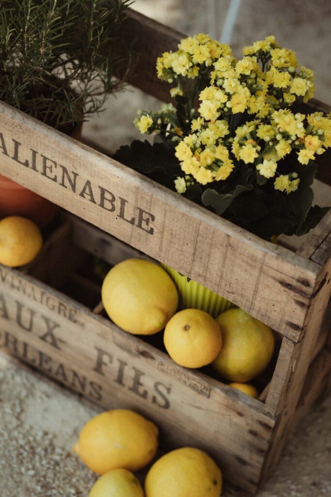 mariage italian vibes